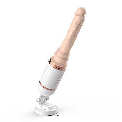 Introduction of dildos