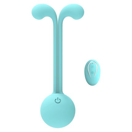 wearable remote control vibrator
